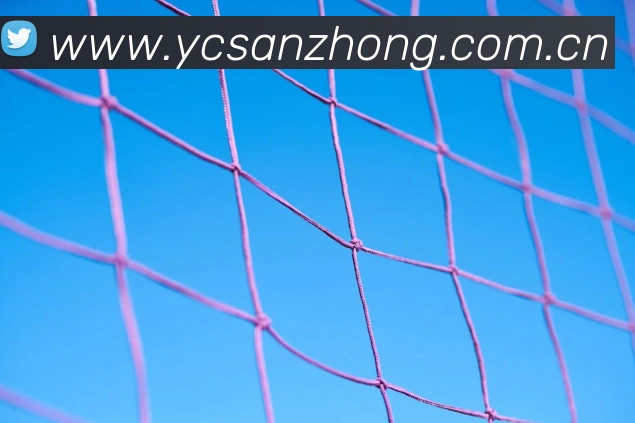 开云账号中心登录入口APP 封面图